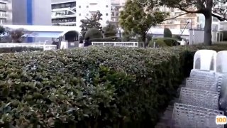 91欧美一区二区三区精品⭕❌欧美精品A片XXX⭕❌欧美性猛交XXXX乱大交极品-无码av电影在线观看不卡